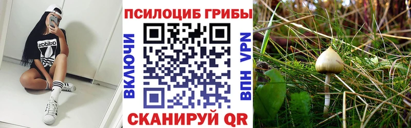 Псилоцибиновые грибы прущие грибы  Гороховец 